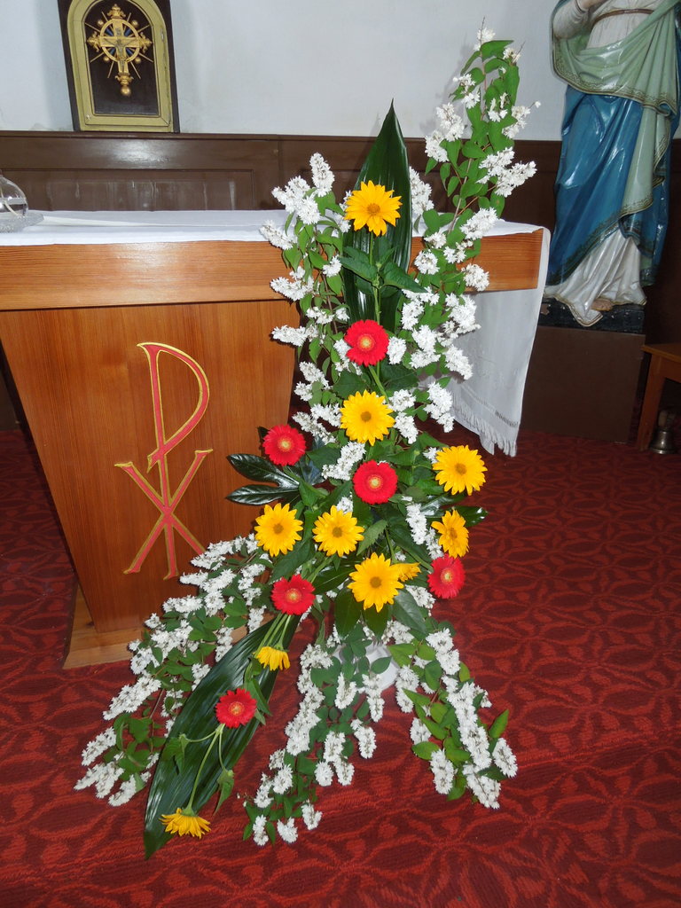 DSCN0724